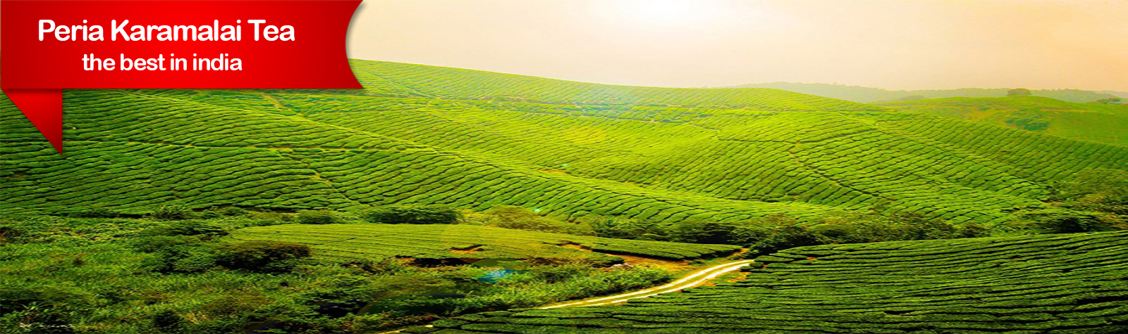 Peria Tea